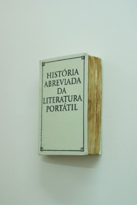 História Abreviada da Literatura Portátil (2010) | Mafalda Santos artista