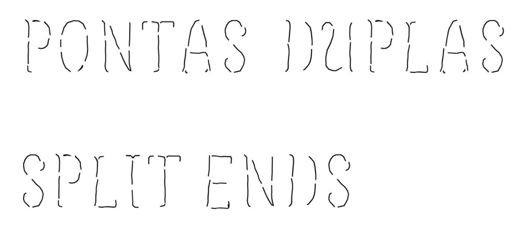 Pontas Duplas / Split Ends |Aida Castro | Mafalda Santos artist | Galeria Presença
